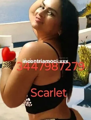 19 - Scarlett Escort Latina - 3447987279