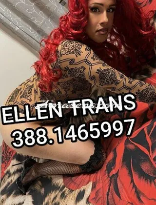 3 - Ellen Trans Livorno - 3881465997