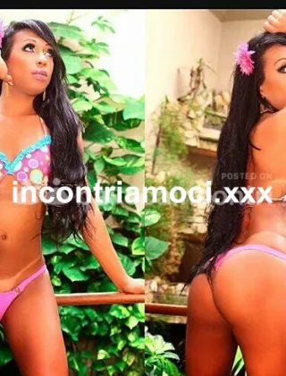 28 - Brenda Trans Perugia - 3509029993