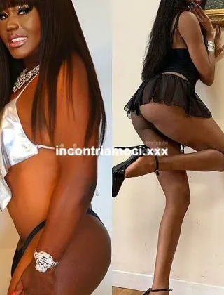 29 - Camilla Trans Bologna - 3313184962