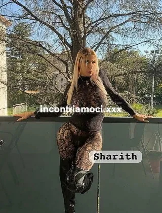 11 - Sharith Trans Trento - 3520972822