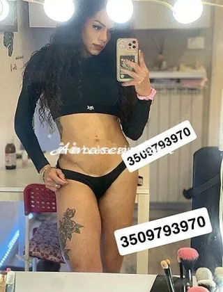 1 - Sara Trans Bergamo - 3509793970