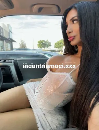 4 - Trans Trans Brescia - 3936568864