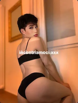 21 - Primcesa Firenze Trans Firenze - 3331412429