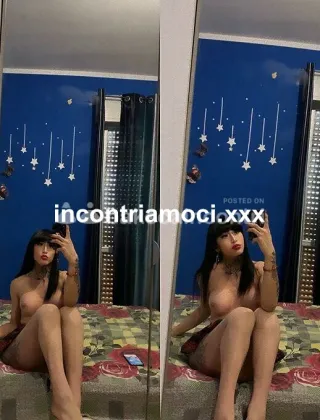5 - Andreina Trans Pavia - 3512259934