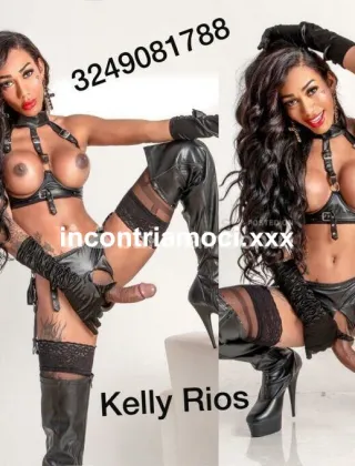 29 - Kelly Trans Varese - 3249081788