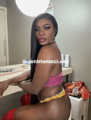 10 - Sandra Trans Torino - 3512498856