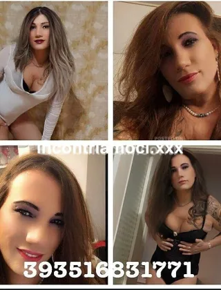 8 - Bella Trans Trans Alessandria - 3516831771