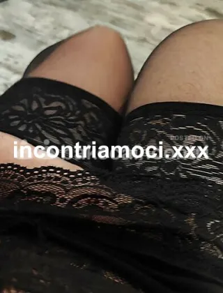 3931328004 - Musa Pompinara 40 Trans Arezzo
