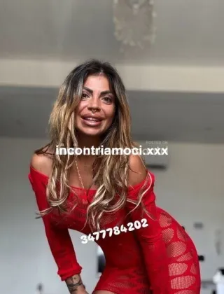 19 - Adelaide Escort Savona - 3477784202