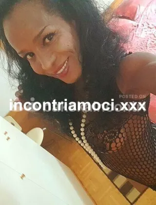 2 - Fernanda Trans Bergamo - 3889546814