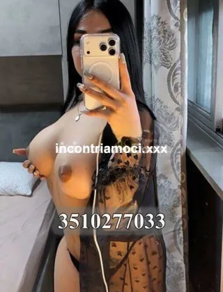 12 - Coral Trans Sassari - 3510277033