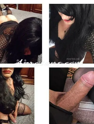31 - Nikita Trans Ferrara - 3516468256
