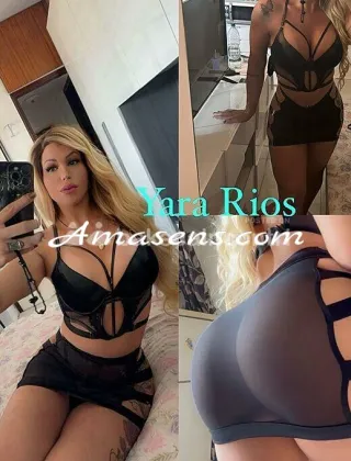 3 - Yara Trans Treviso - 3290330274
