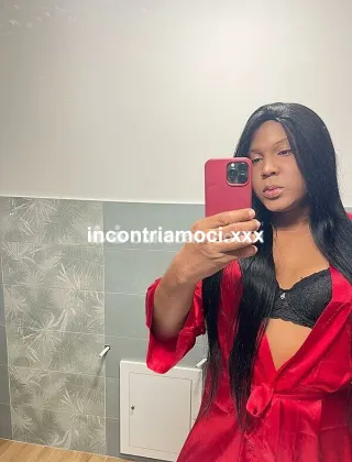 26 - Sophia Trans Caserta - 3278515134