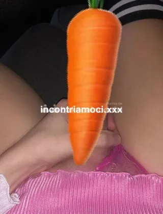 33 - ? ?Valetrav Xxl Trans Milano - 3793356866