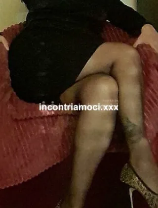 25 - Federica Escort Monza e della Brianza - 3288571031
