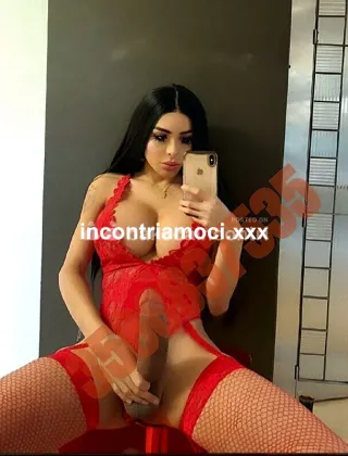 16 - Nina Trans Caserta - 3508617162