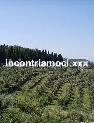 14 - Gloryholexdotativeri Coppie Frosinone - 3517367210