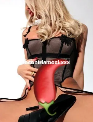 17 - Eva Trans Lucca - 3384389000