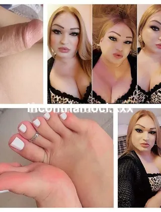34 - Trans Bari - 3202597020
