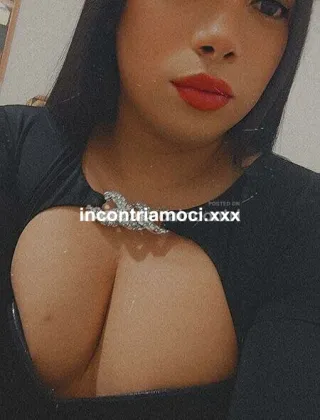 4 - Mariana Trans Varese - 3514243911