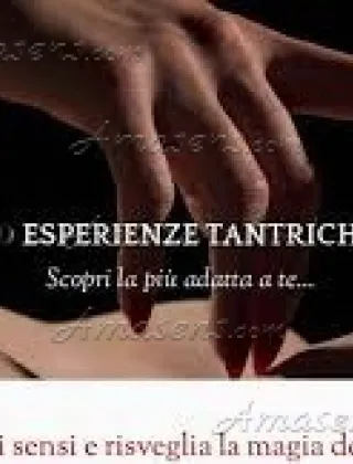 30 - E Trans Verona - 3389220924