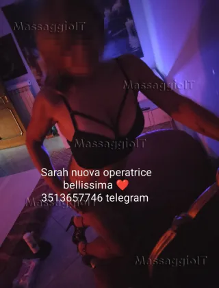3 - Massaggi Frosinone - 3513657746