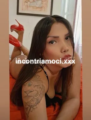 17 - Kelly Trans Roma - 3934022646