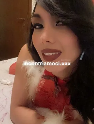 21 - Leila Trans Lodi - 3425239992