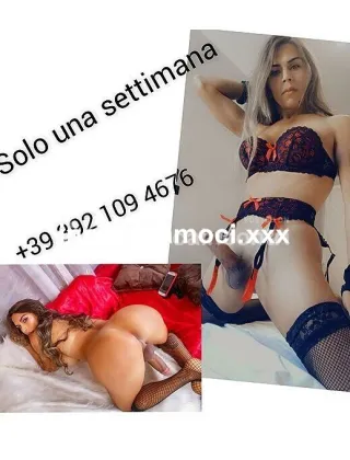 3921094676 - Amalia 25 Trans Cuneo