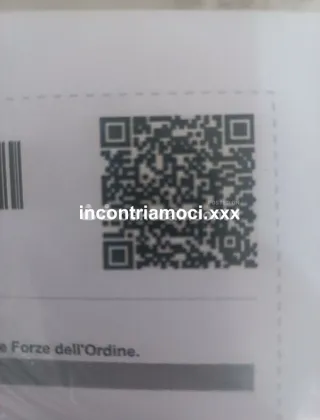 1 - Pene Trans Reggio Emilia - 3930898420