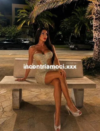 20 - Pamy Trans Terni - 3479599841