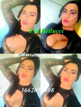 1 - Eva Trans Catanzaro - 3662055808