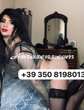 4 - Monica Trans Terni - 3508198013