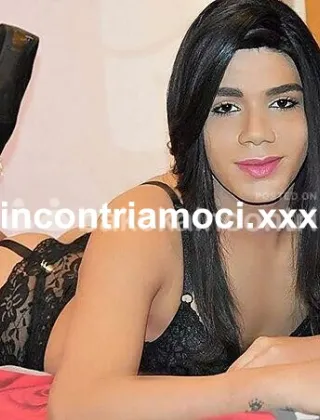 30 - Luna Trans Lucca - 3881078319