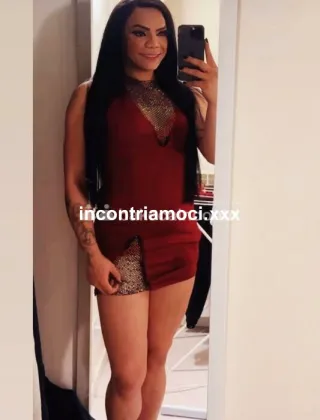 7 - Yssa Corso Regina Trans Torino - 3510996727