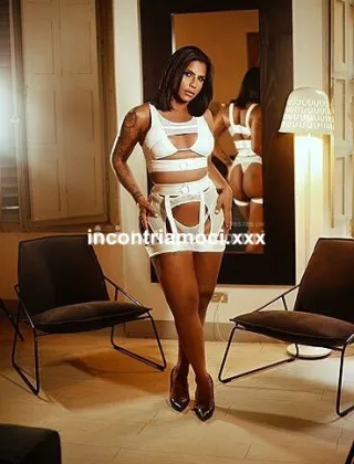 21 - Nanda Xl Grosso Trans Torino - 3922856573