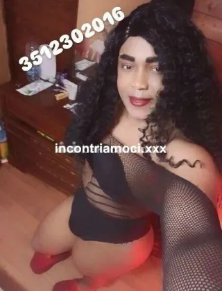 36 - Beltran Trans Agrigento - 3512302016