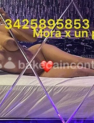 5 - Gattina Escort Pesaro e Urbino - 3425895853