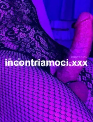 2 - Taylors E Mia Trans Torino - 3713933061