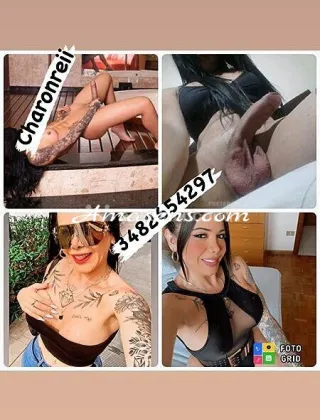 2 - Ivonny Trans Venezia - 3482654297