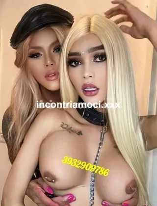 29 - Conny Trans Roma - 3932909786
