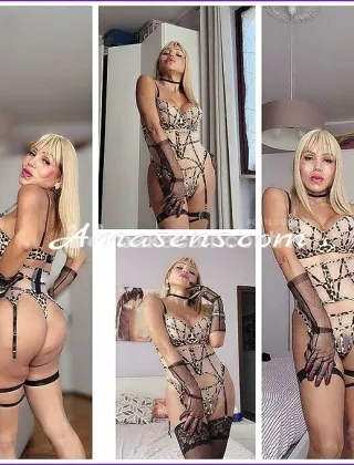 3 - Silvia Trans Brescia - 3204667163