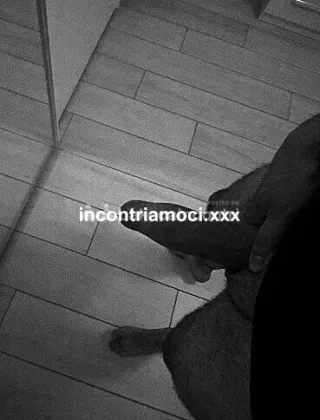 3209255977 - Alex 40 Coppie Bologna