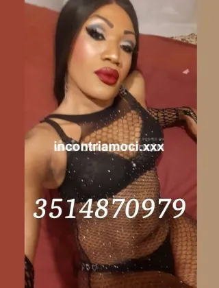 24 - . Trans Cosenza - 3514870979