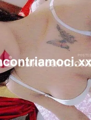 15 - Angelina Trans Torino - 3206061907