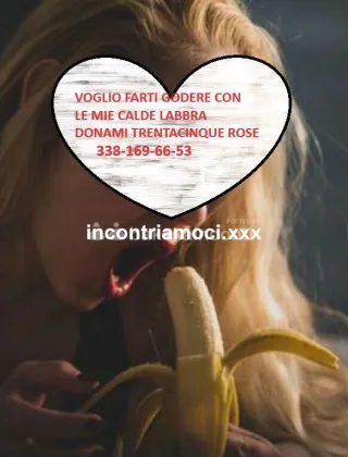 17 - Angelica Escort Lucca - 3381696653