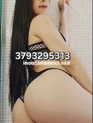 11 - Nikol Trans Pescara - 3793295313