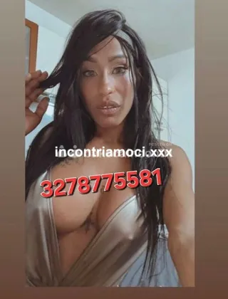 11 - Nataly Trans Trento - 3278775581